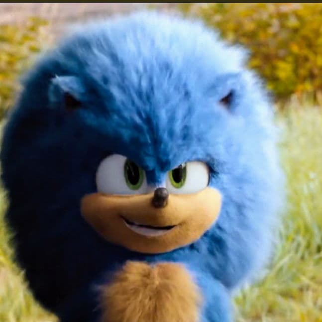 Fluffy Sonic