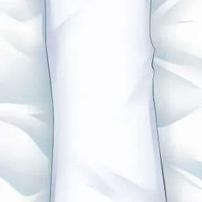 A literal  Dakimakura